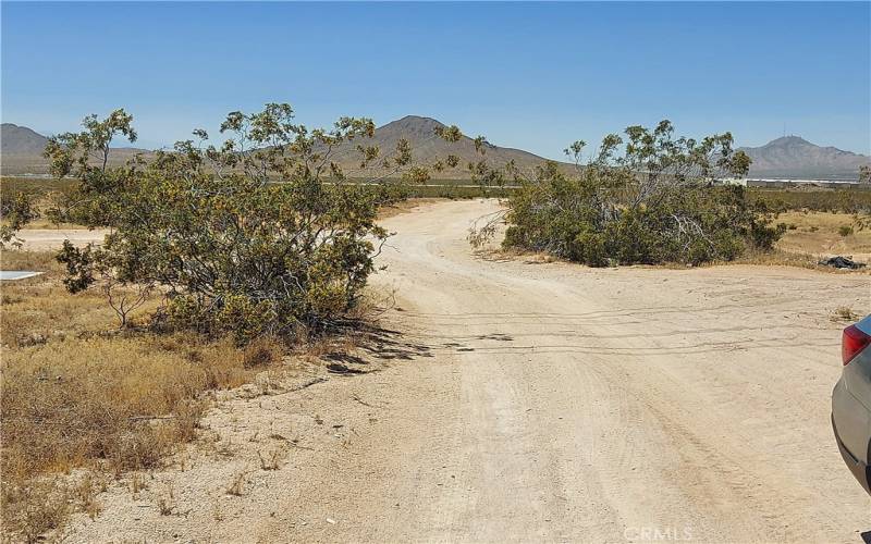 view to the west from the southwest corner of property