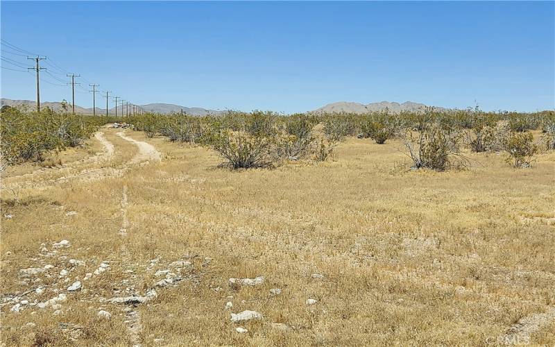 view to the north from southwest corner of lot