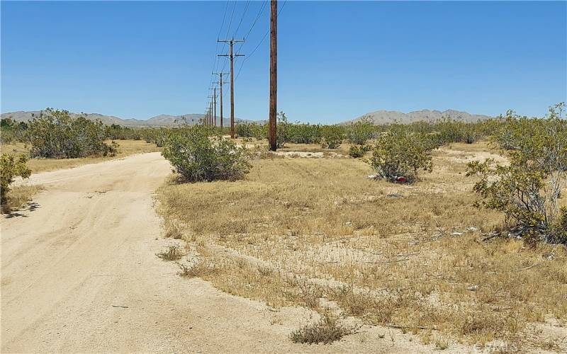 view to the north from southwest corner of lot. Electric lines run along west side of lot