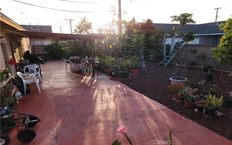 This the  backyard, half concreted with permited Patio, the othe half is covered with Lava Rocks ubnder is fabris sheert, Loy of frueot trees like Nectarine, Guava, Papaya, Giant Avocado, Pear, Orange' Lemn, Malungay, Guyabano
