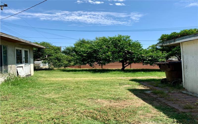 Backyard facing East