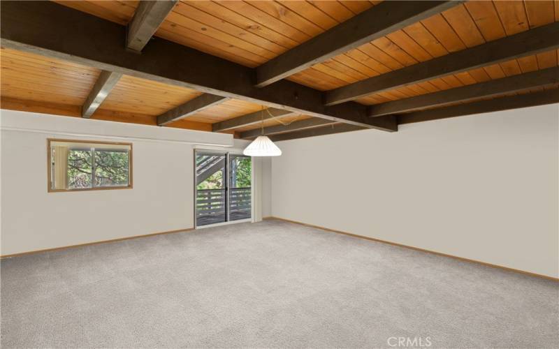 Lowest Level Bonus Room - Digitally Enhanced to show with out furniture