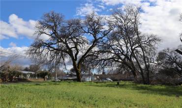 3395 Emerson Street, Clearlake, California 95422, ,Land,Buy,3395 Emerson Street,LC24104081