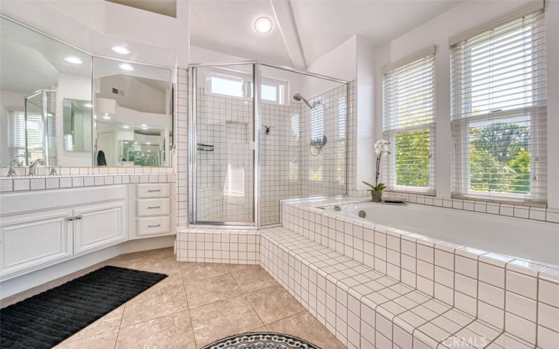 Primary bathroom with shower and separate tub