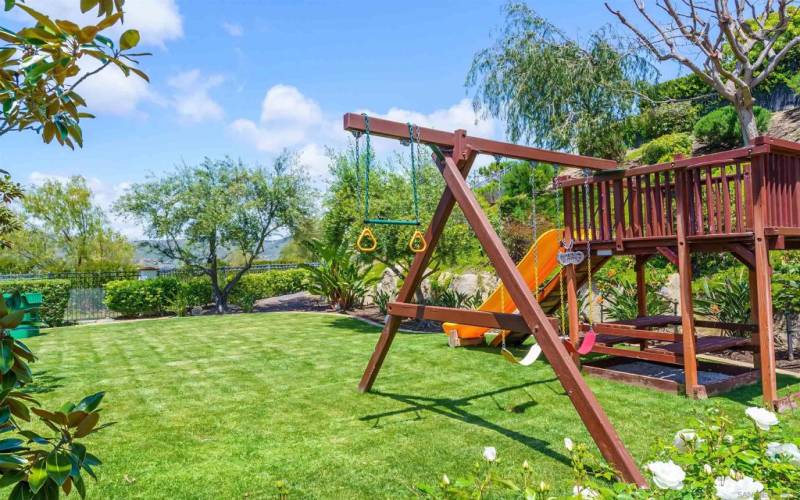 Sizable yard with play structure