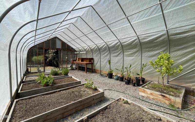 Greenhouse Interior