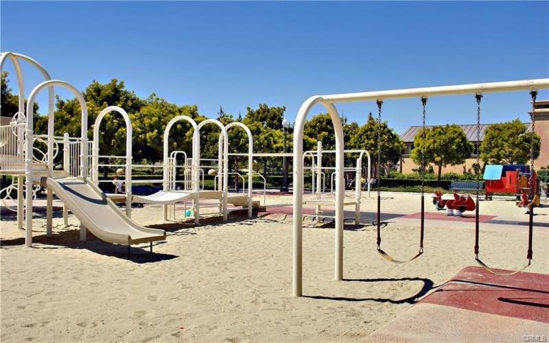 Bonita Canyon Jr Size Olympic Pool