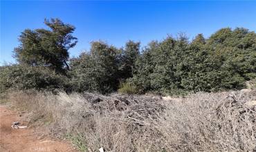 16336 8th Avenue, Clearlake, California 95422, ,Land,Buy,16336 8th Avenue,LC23224590