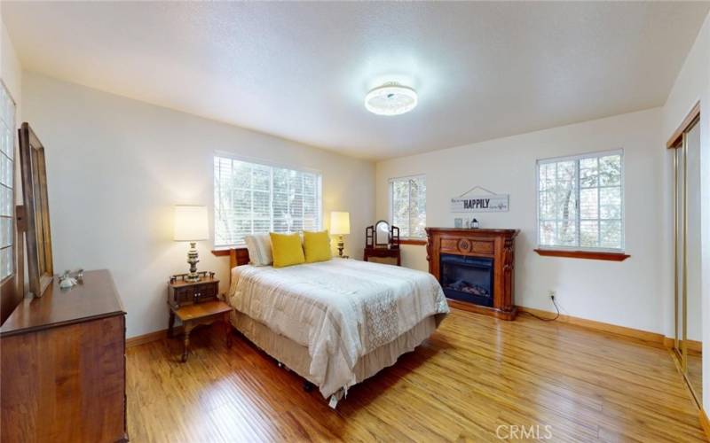 Expansive Master Bedroom with Electric Fireplace