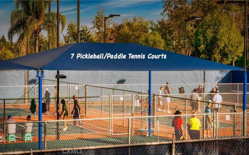 7 Pickleball/Paddle tennis courts