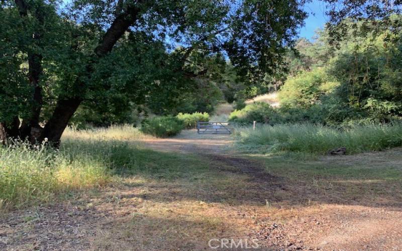 Driveway leading to property