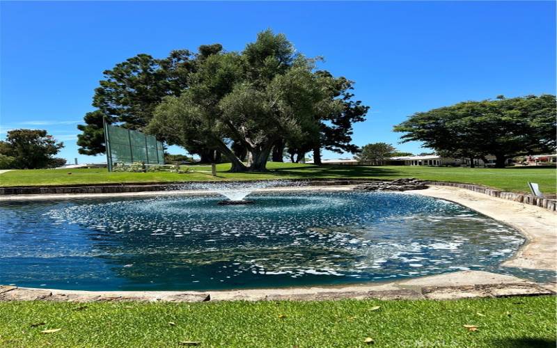 Beautiful lake on the golf course.