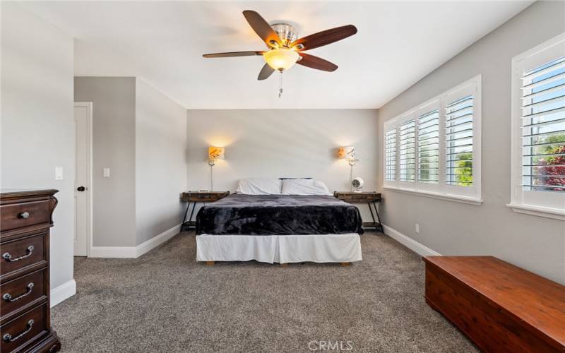 The primary bedrooms boasts plush carpet and a sizeable walk-in closet.