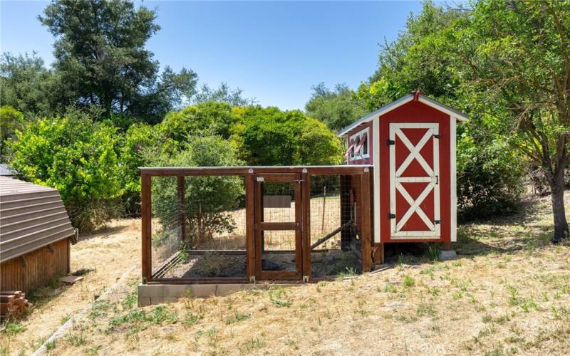 Chicken coop with enclosed run.