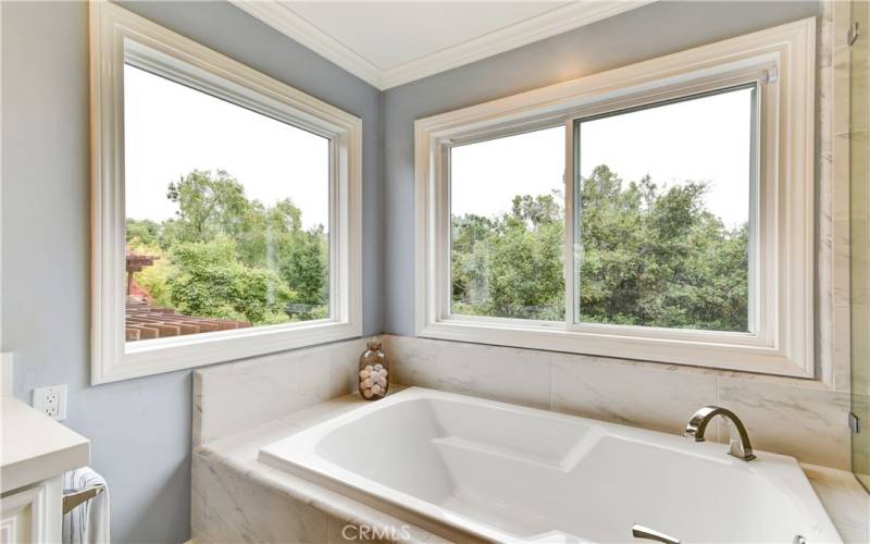 Primary Soaking Tub with View