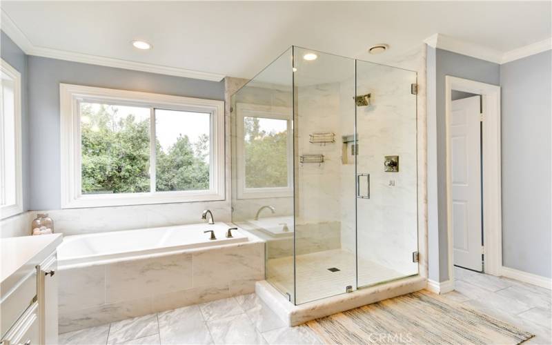Primary Shower and Soaking Tub