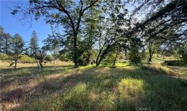 5250 Trafalgar, Paradise, California 95969, ,Land,Buy,5250 Trafalgar,SN24105387