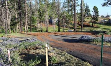 13890 Cascade Drive, Magalia, California 95954, ,Land,Buy,13890 Cascade Drive,PA24107112