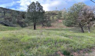 1982 New Long Valley Road, Clearlake Oaks, California 95423, ,Land,Buy,1982 New Long Valley Road,LC23065451