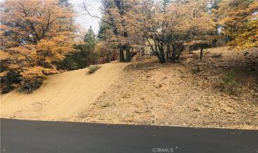 0 Sheephorn Rd, Big Bear, California 92315, ,Land,Buy,0 Sheephorn Rd,IG21227250