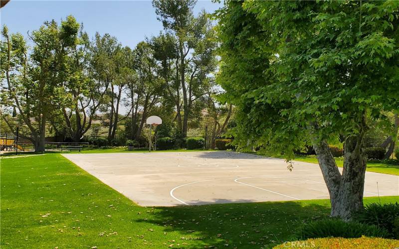 HOA basketball court