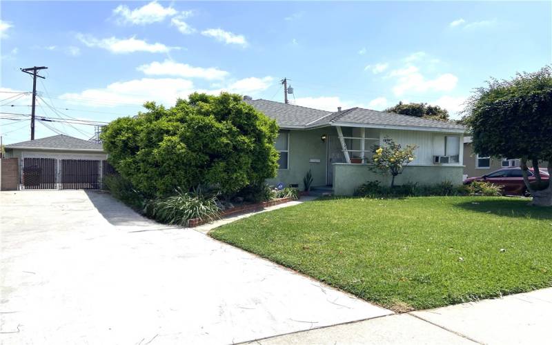 Front Yard and Driveway