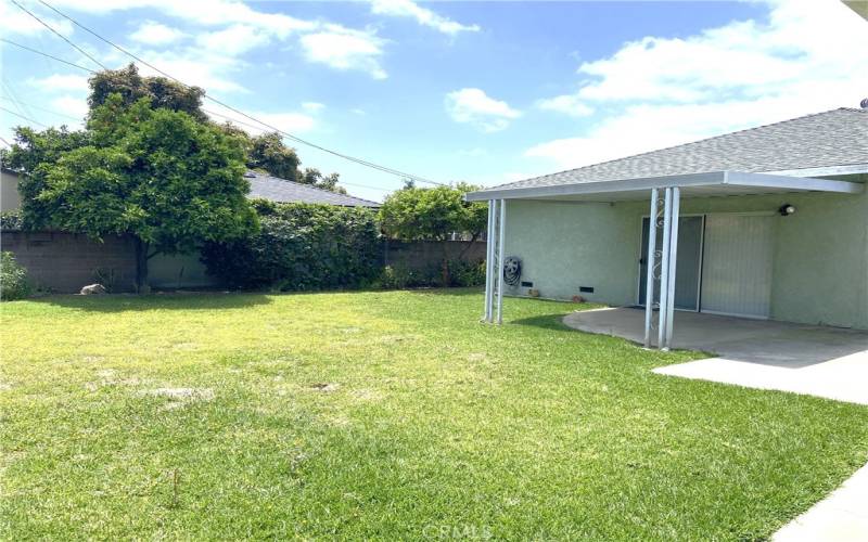 Backyard with Covered Patio