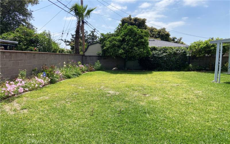 Backyard and flower bed