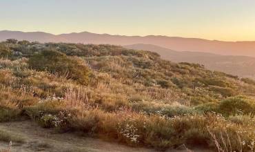 Highway 94, Dulzura, California 91935, ,Land,Buy, Highway 94,PTP2403081