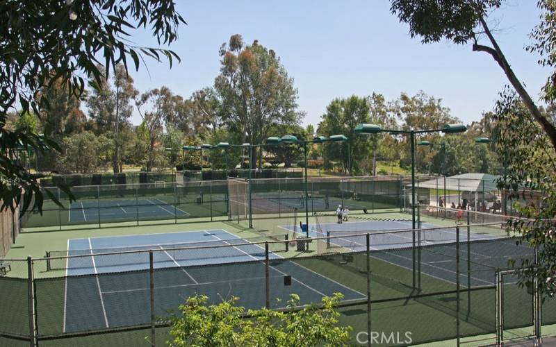 Tennis courts at Sun & Sail Club
