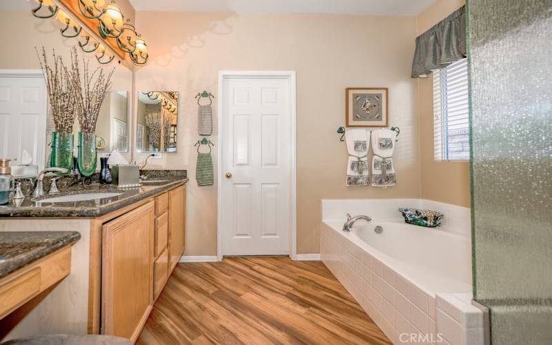 THE PRIMARY BATHROOM HAS GRANITE COUNTERS, DELUXE LIGHTING WITH SEPARATE TUB AND SHOWER.