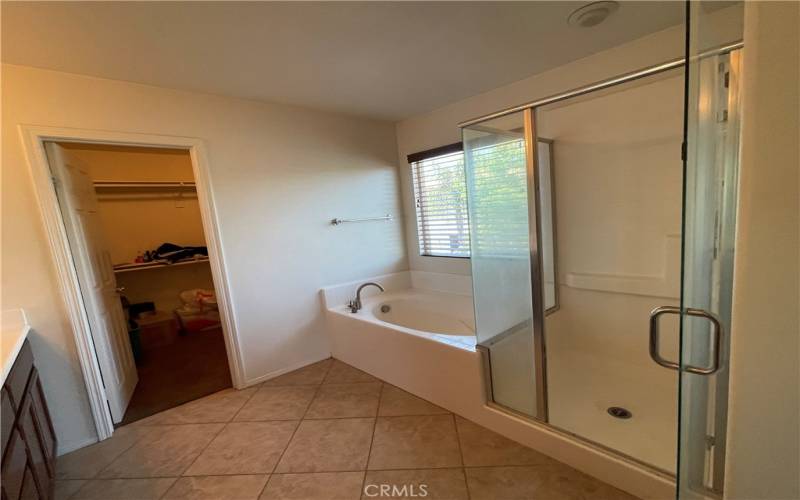 Main bathroom with tub and separate shower