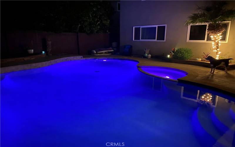 Pool with programmable Muti-color lights
