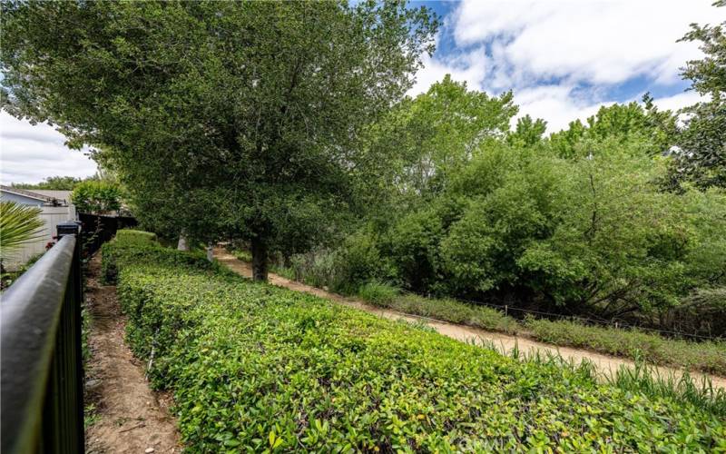 Walking Trails behind the house