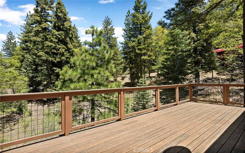 Back deck overlooking the national forest.