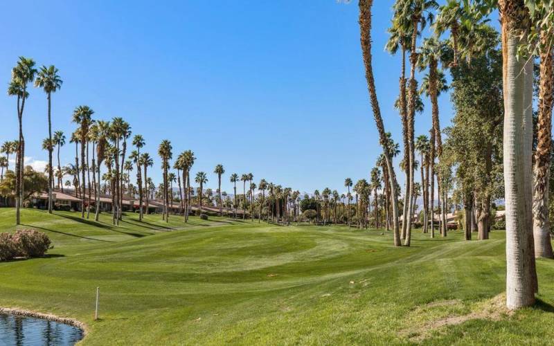 518_11438388_palm-valley-country-club_51