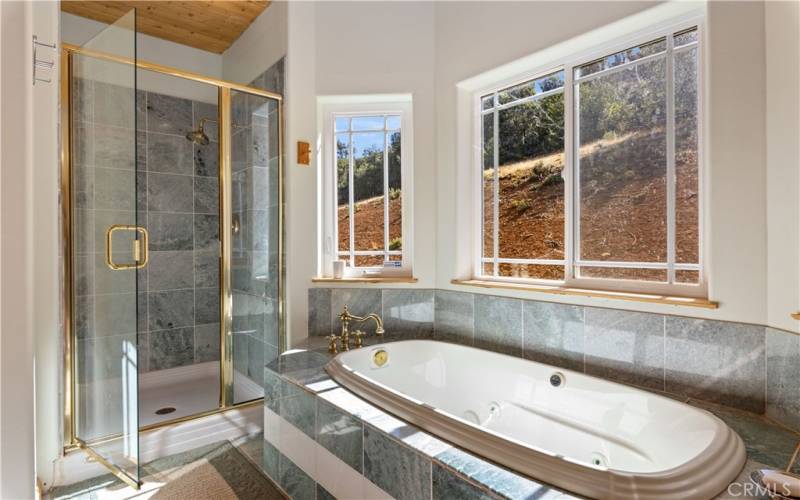 Jacuzzi tub / walk in shower