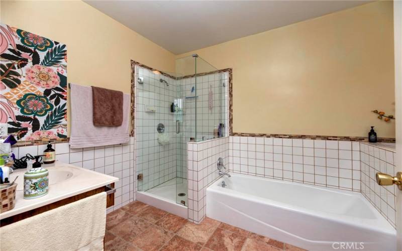 Master bathroom with shower and bathtub.