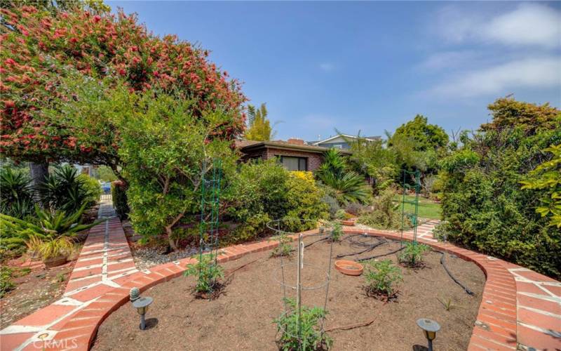 Garden area in the front yard.