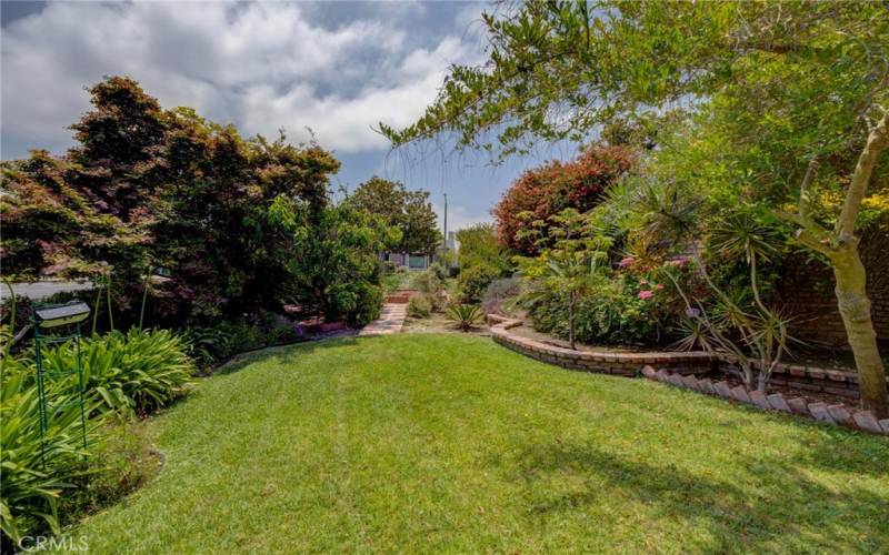 Lush green yard area.