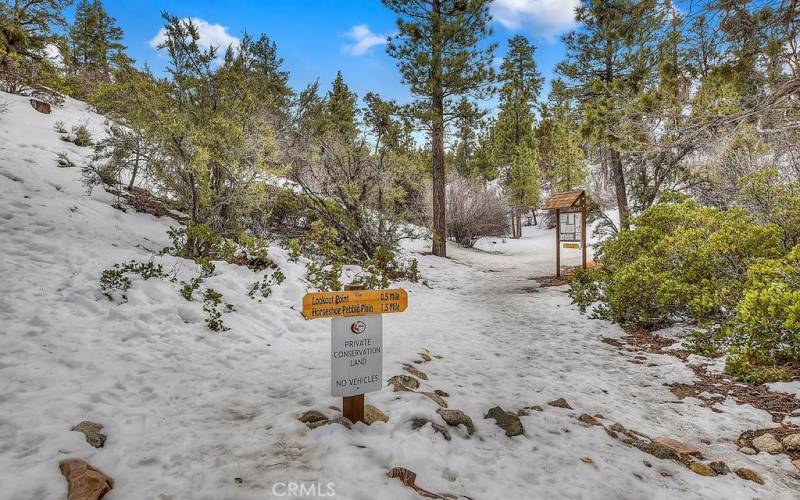 Lookout Trail