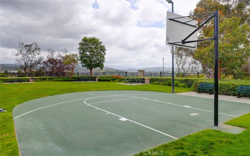 Private community sport court basketball and picnic park area with views to Catalina most days