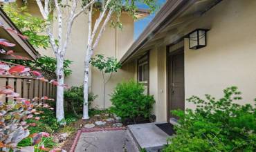 1685 Countrywood Ct, Walnut Creek, California 94598, 2 Bedrooms Bedrooms, ,2 BathroomsBathrooms,Residential,Buy,1685 Countrywood Ct,41061977