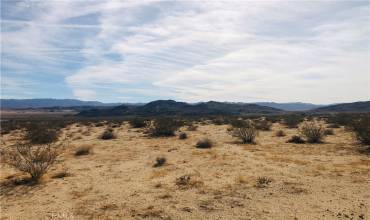 0 Ranier Road, Joshua Tree, California 92252, ,Land,Buy,0 Ranier Road,JT23220834