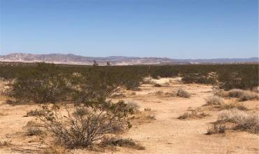 0 Near Daisy Lane, Joshua Tree, California 92252, ,Land,Buy,0 Near Daisy Lane,JT23110401