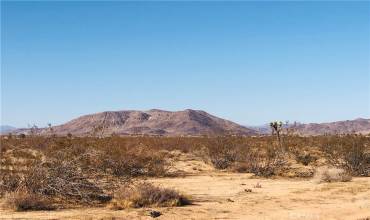 0 Venus Drive, Joshua Tree, California 92252, ,Land,Buy,0 Venus Drive,JT23220833