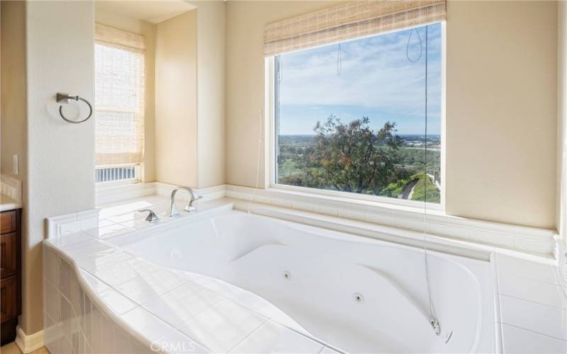 Master bath with view