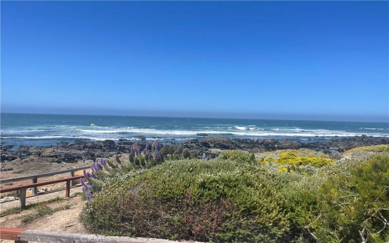 Ocean View from public Beach Access about 1 mile from land