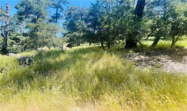 0 Burton Drive, Cambria, California 93428, ,Land,Buy,0 Burton Drive,SR24112512