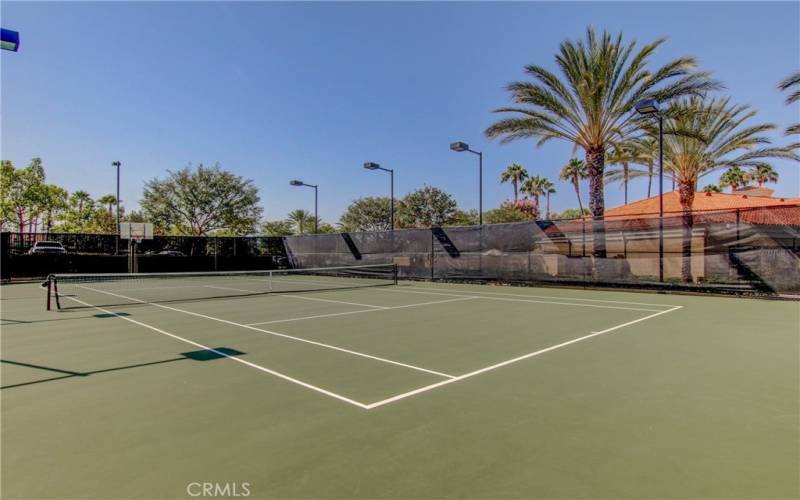  Courts at Club house